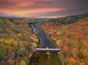 The Red Bridge