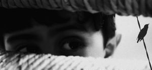 Against the canons of not imagination -  Contro i canoni della non immaginazione -