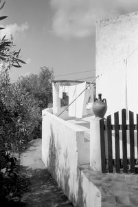 Patway and house