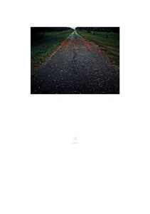 Road, Tinian Island, 2006©Osamu James Nakagawa