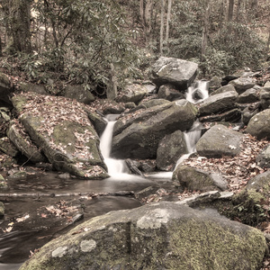 Smoky Mountain Stream