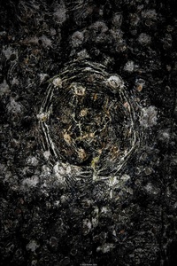 Concrete universe 2