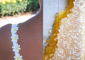 Fake Daisies, Pure Honey
