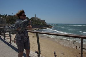 Such a Windy Day