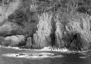 Cove Northside Pt Lobos