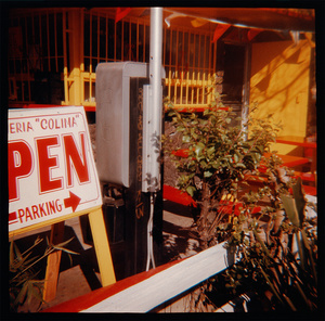 Pen