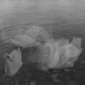 Sentimental Journey VI