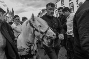A Horse for my Kingdom 33