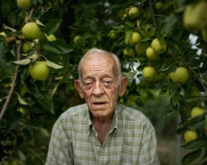 Ott's apples