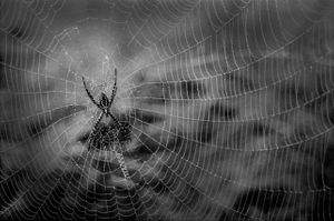 dark alentejo