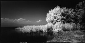 Mother Lake in White #8