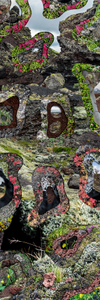 Topography Study XXXVII