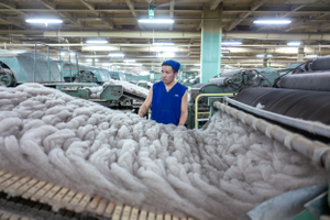 Mongolian cashmere