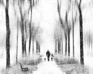 Abstract street photography Berlin - Walking with dogs