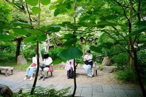 DANS LE JARDIN IMPÉRIAL