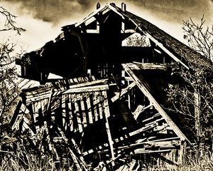 Collapse- Skeleton Barn One