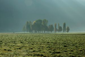 gruppo