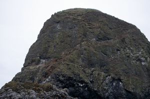 The Magical Society of Rocks #1