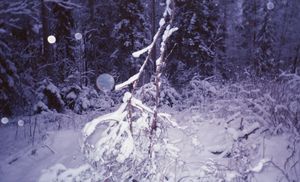 Winterstanders 05