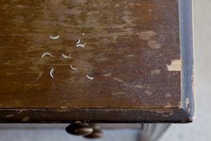 Elinor's nail clippings © Joy Christiansen Erb