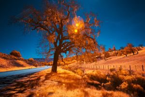 CALIFORN-IR