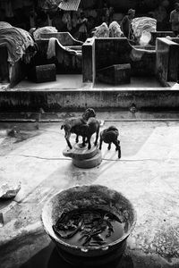 Dhobi Ghat 06