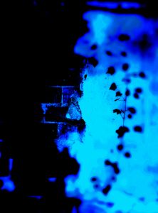 Metamorphosis 3
