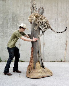 Leopard