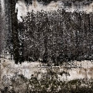 Abstract