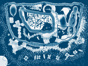 Julius van der Wat's computer graphics.