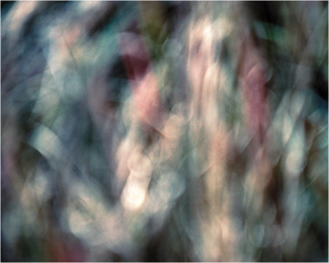 Twilight Grassland #2