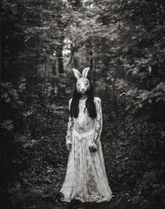 Moon Rabbit
