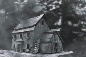 Joyce's garden