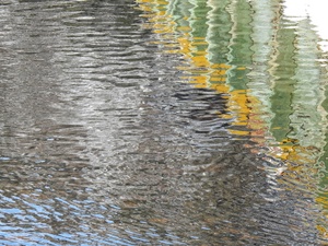 Reflections