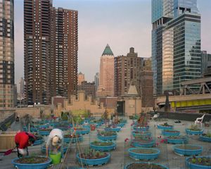 Hell’s Kitchen Farm Project, Hell’s Kitchen, Manhattan