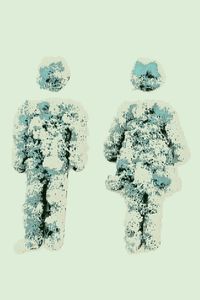 Gender 2