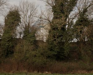 35.	Field Mill