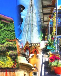 Shard Gardens