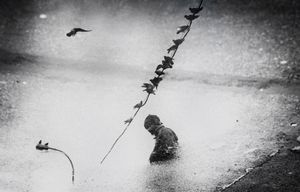 The storm in a little puddle