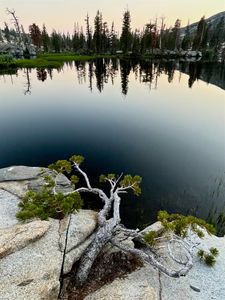 Maude Lake reflections #2