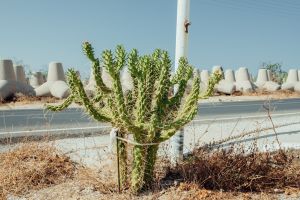 Naxos, Greece, 2018