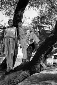 Boys posing up a tree | Dhesian Sang, Punjab.