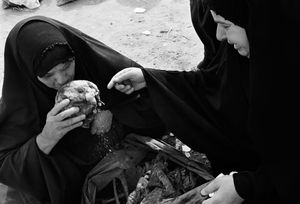 Mass Graves of Iraq