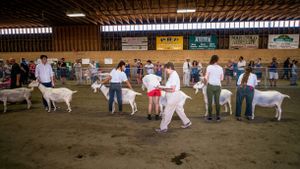 Udder Gambol: Goat Fanciers of Peninsular Saanich 4