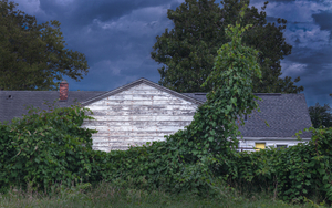 Vine and Garage