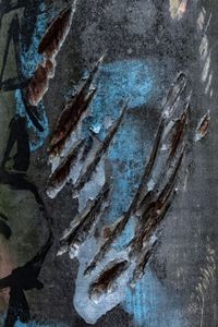 Scratching 1