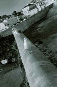 Ericeira, 2000