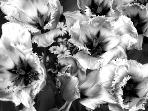I must have flowers #5