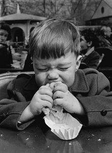 Hot Dog, Central Park
