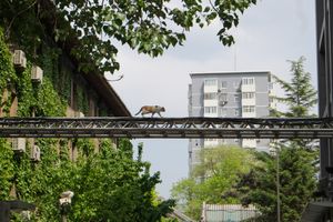 Beijing – Quiet Everyday Street Life
